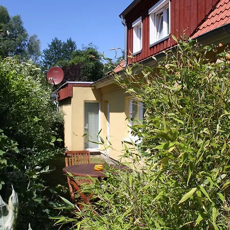 Sturmmoewe Kiel